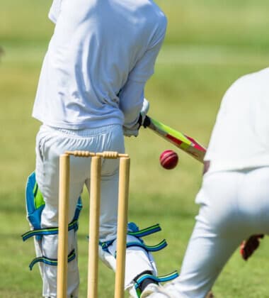 Cricket 2