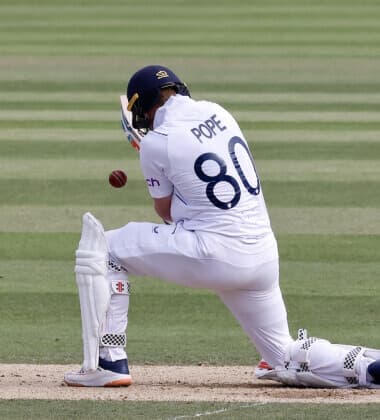 Cricket 3